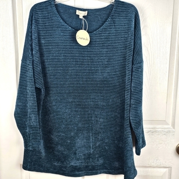 Chenault‎ Velour Striped Turquoise Long Sleeve Plus Size Blouse Top Shirt 1X NWT - Picture 1 of 6